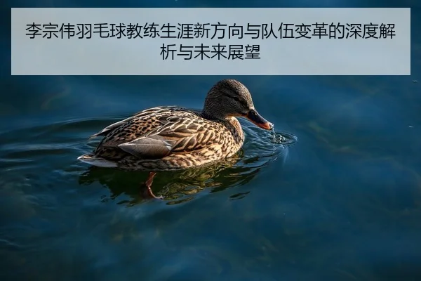 李宗伟羽毛球教练生涯新方向与队伍变革的深度解析与未来展望（B）